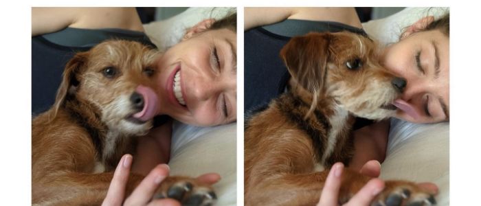 Jessica Rothe and her dog